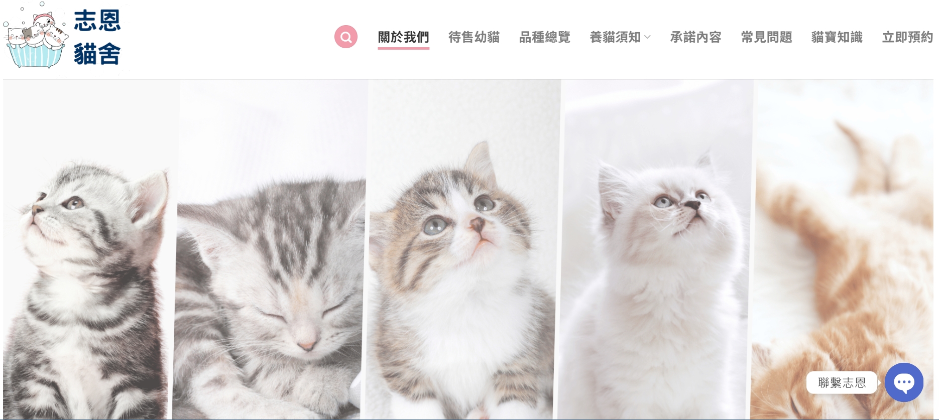 志恩貓舍