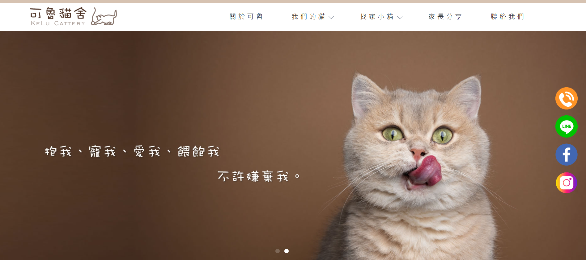曼赤肯貓舍推薦3：可魯貓舍