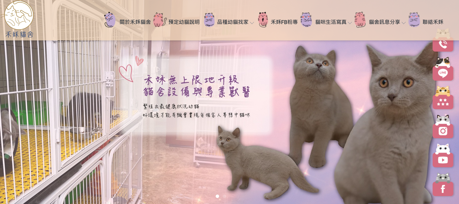 曼赤肯貓舍推薦5：禾姀貓舍