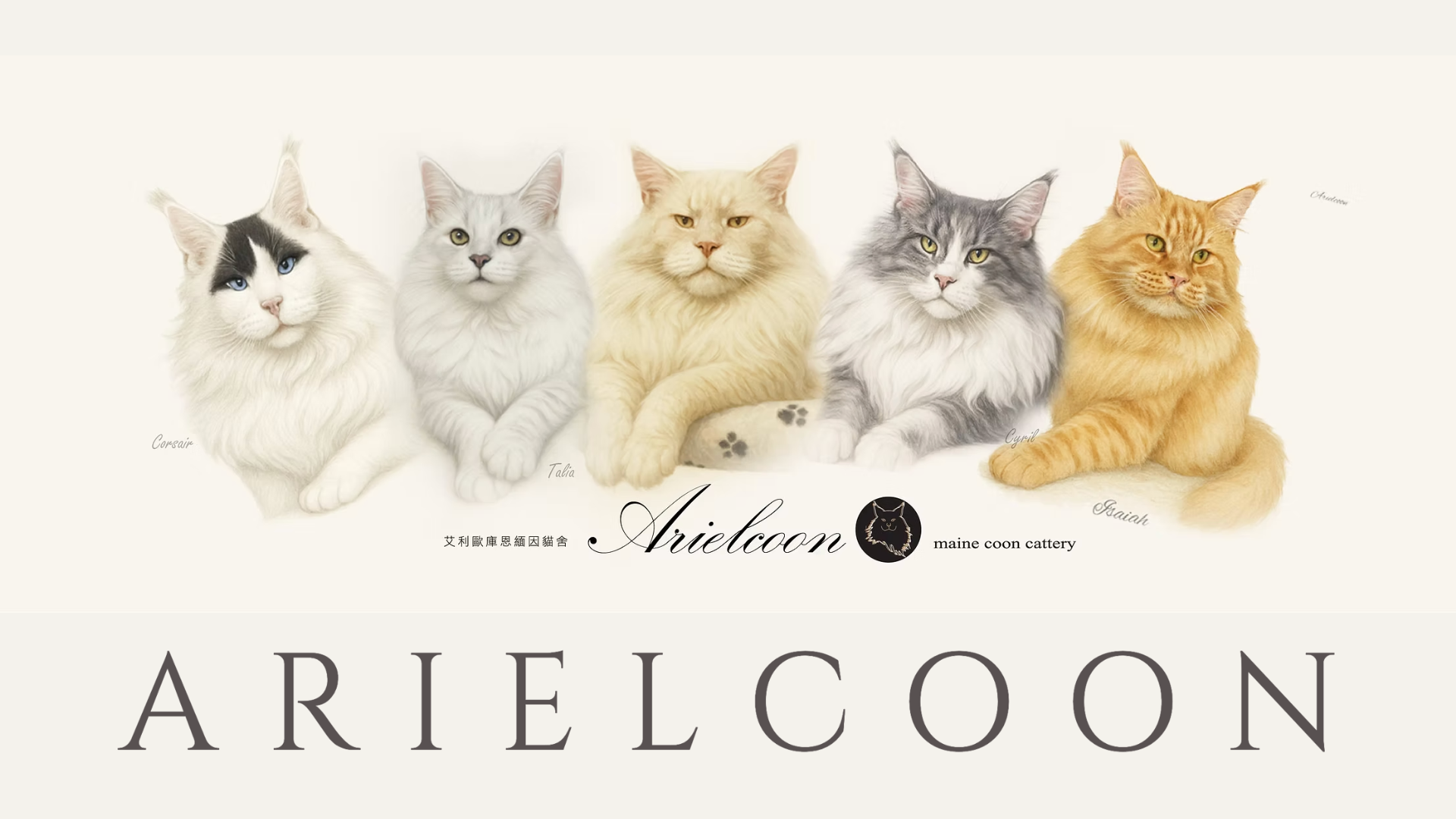 高雄緬因貓貓舍推薦：艾利歐庫恩緬因貓舍