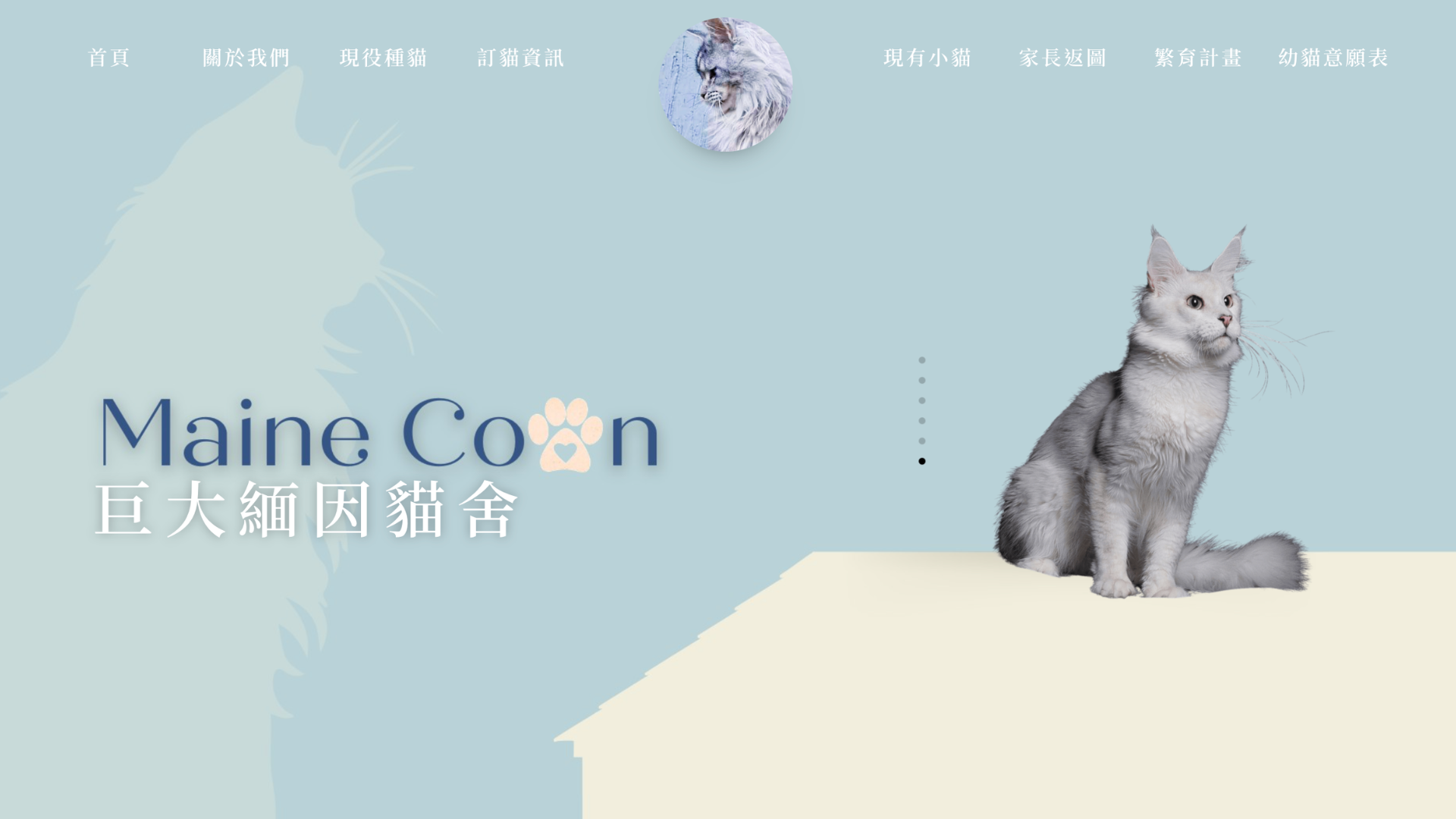 桃園緬因貓貓舍推薦：巨大緬因貓舍