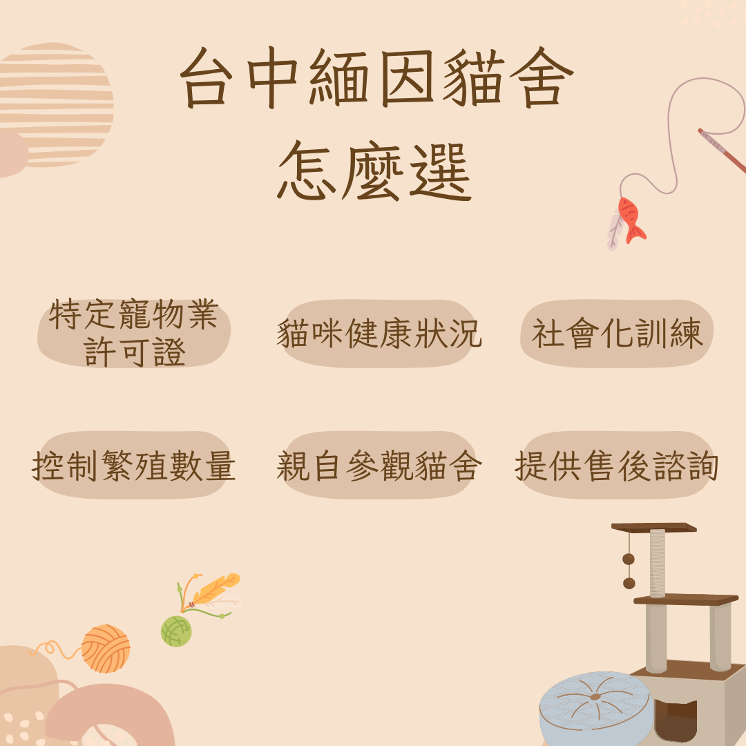 台中緬因貓舍怎麼選