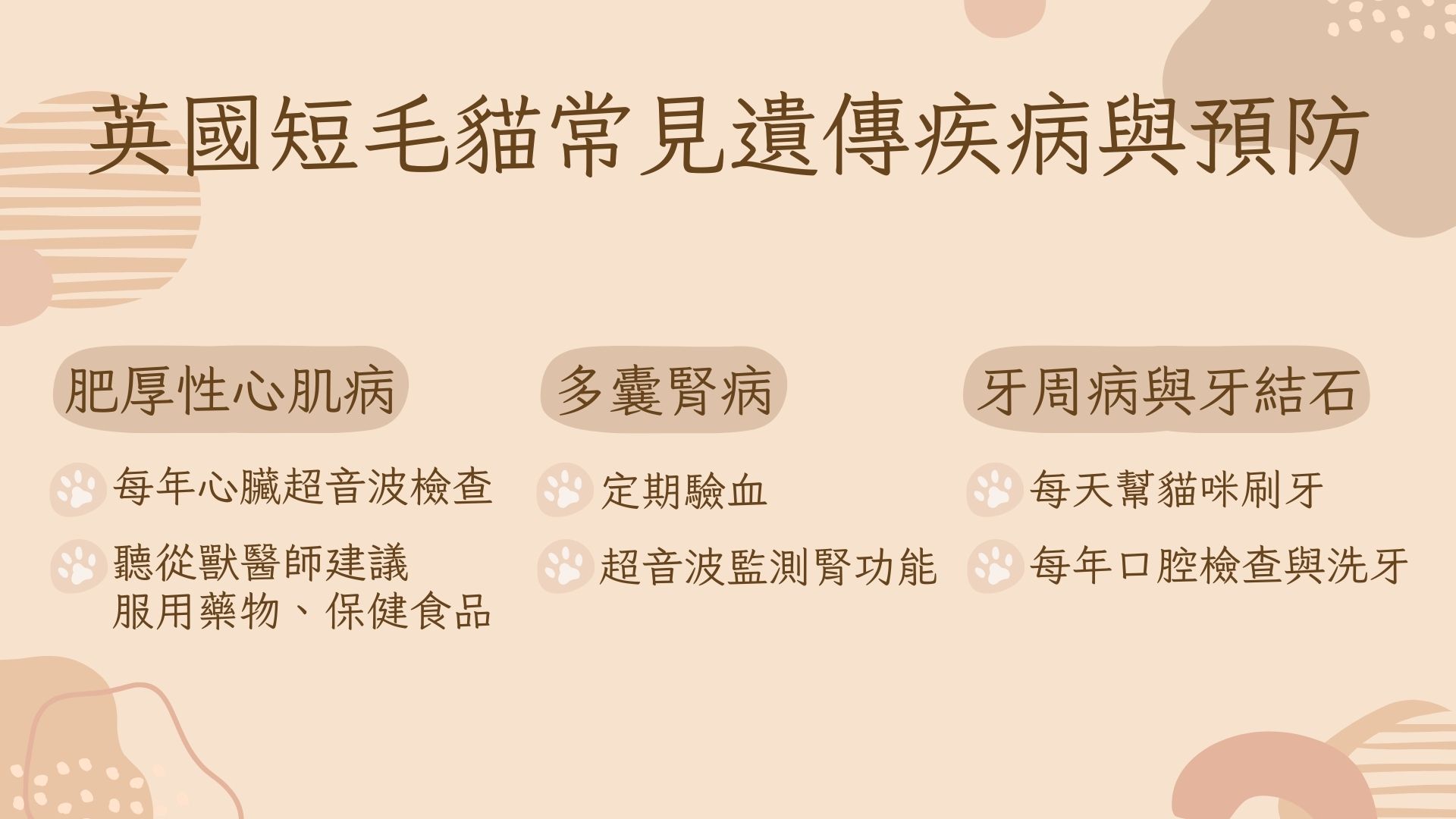 英短貓常見疾病和預防方法